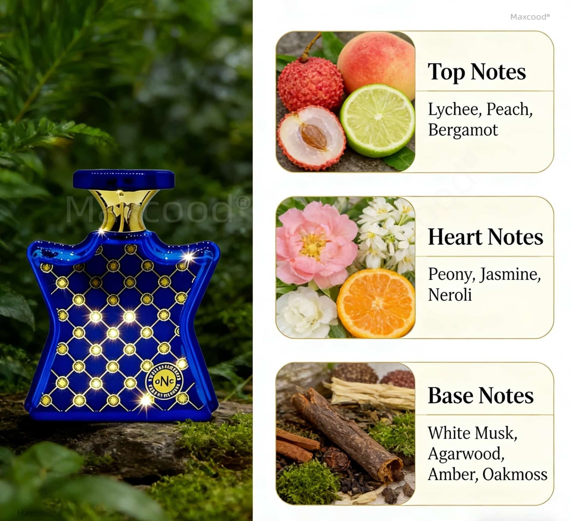Perfume Cítrico e Floral de Lo - Perfume Fragrance For Girls avaliação e preço