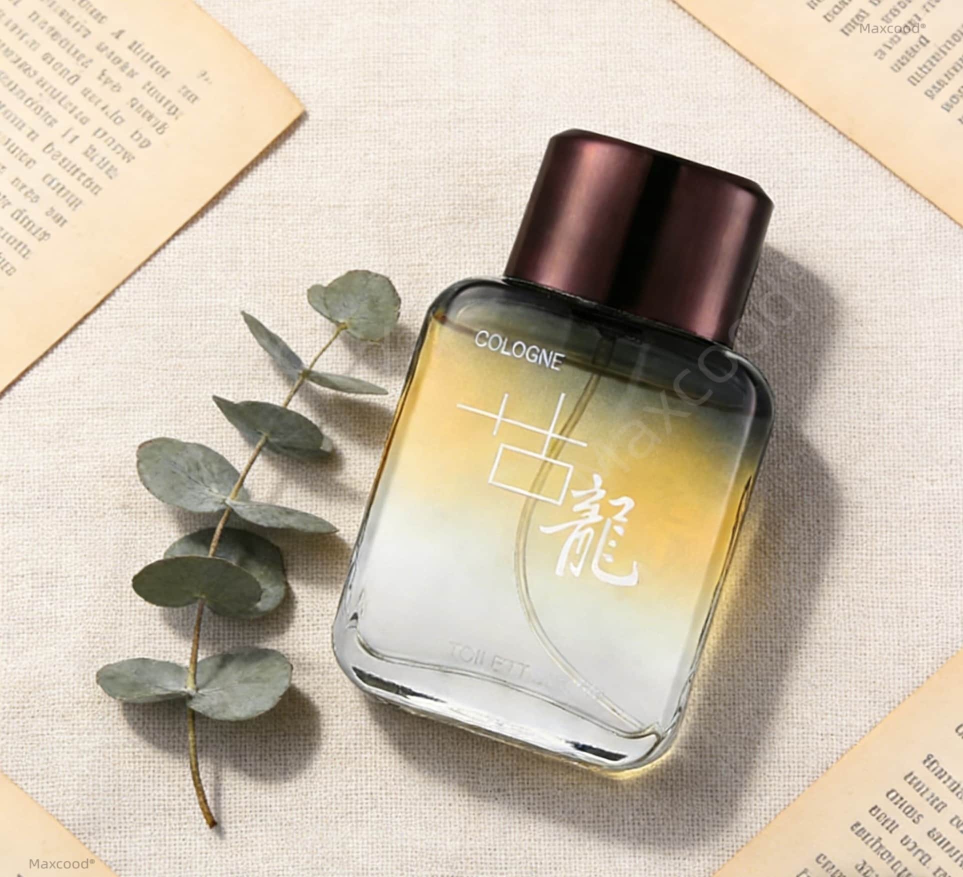 Perfume Masculino Maxcood A Ci - Perfume Fragrance Free avaliação e preço