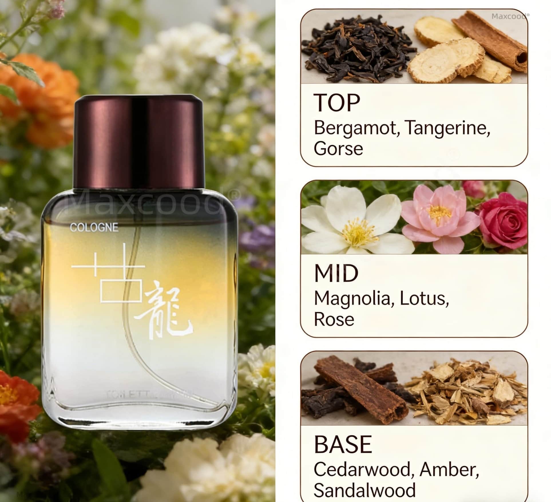 Perfume Masculino Maxcood A Ci - Perfume Fragrance Free avaliação e preço